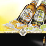 Home 18 1 mix kino.qxd